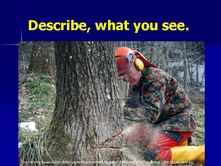 Describe, what you see. Source: http: //www. europe-center. org/ec-blog/wp-content/blogs. dir/2/files/2008/08/080331_cutting_trees_06_rkk_send. jpg 