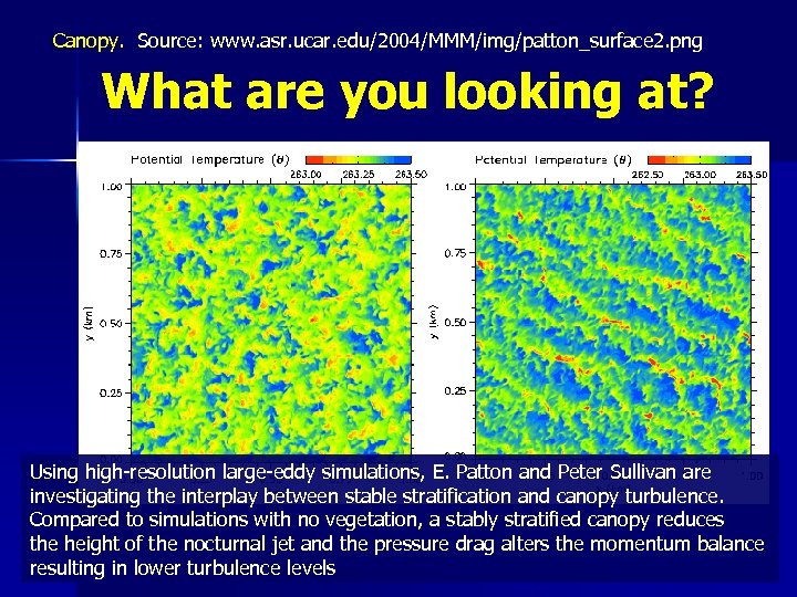 Canopy. Source: www. asr. ucar. edu/2004/MMM/img/patton_surface 2. png What are you looking at? Using