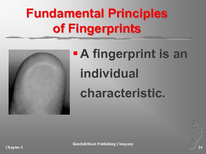 Fundamental Principles of Fingerprints § A fingerprint is an individual characteristic. Chapter 4 Kendall/Hunt