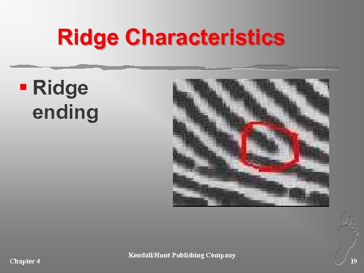 Ridge Characteristics § Ridge ending Chapter 4 Kendall/Hunt Publishing Company 19 