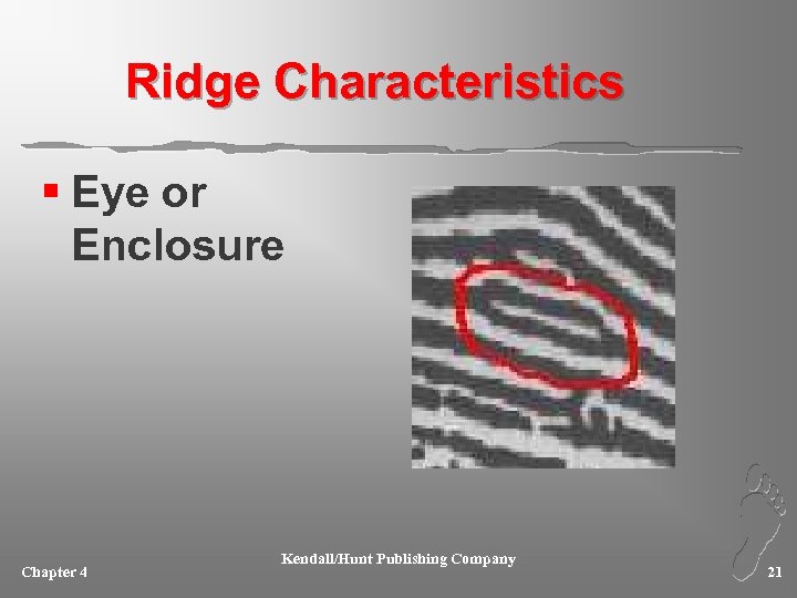 Ridge Characteristics § Eye or Enclosure Chapter 4 Kendall/Hunt Publishing Company 21 