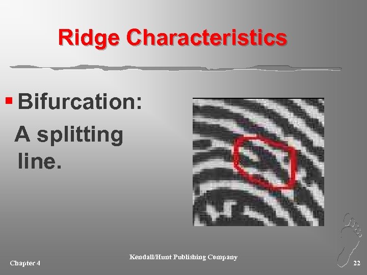 Ridge Characteristics § Bifurcation: A splitting line. Chapter 4 Kendall/Hunt Publishing Company 22 