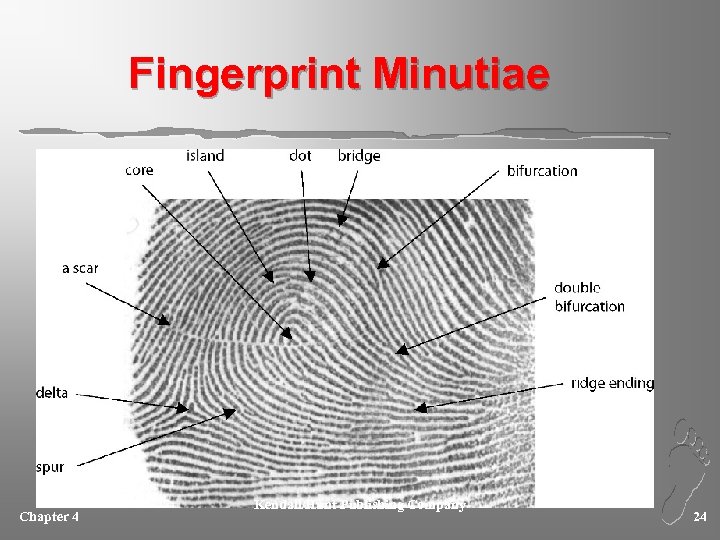 Fingerprint Minutiae Chapter 4 Kendall/Hunt Publishing Company 24 