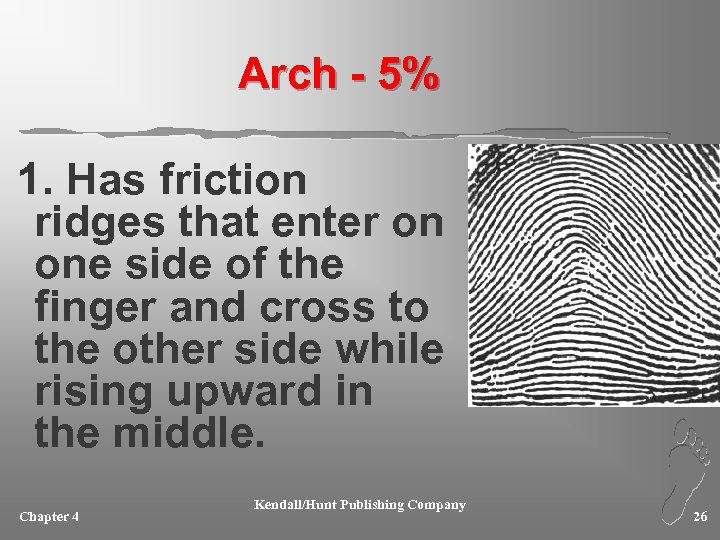 Arch - 5% 1. Has friction ridges that enter on one side of the