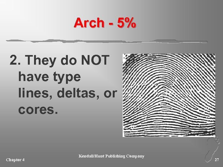 Arch - 5% 2. They do NOT have type lines, deltas, or cores. Chapter