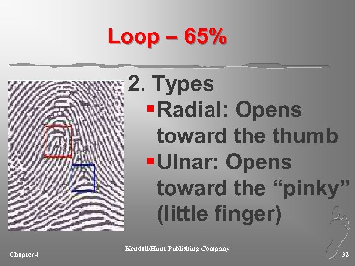 Loop – 65% 2. Types § Radial: Opens toward the thumb § Ulnar: Opens