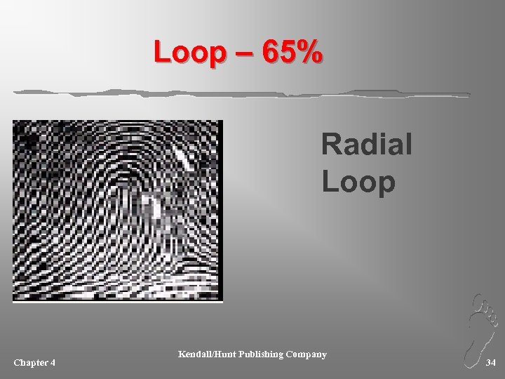 Loop – 65% Radial Loop Chapter 4 Kendall/Hunt Publishing Company 34 