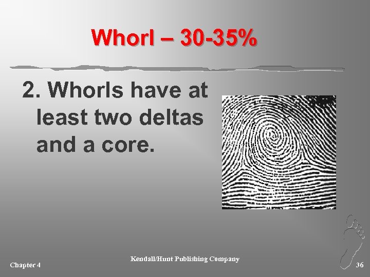 Whorl – 30 -35% 2. Whorls have at least two deltas and a core.