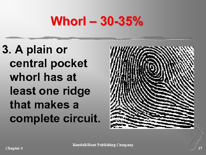 Whorl – 30 -35% 3. A plain or central pocket whorl has at least