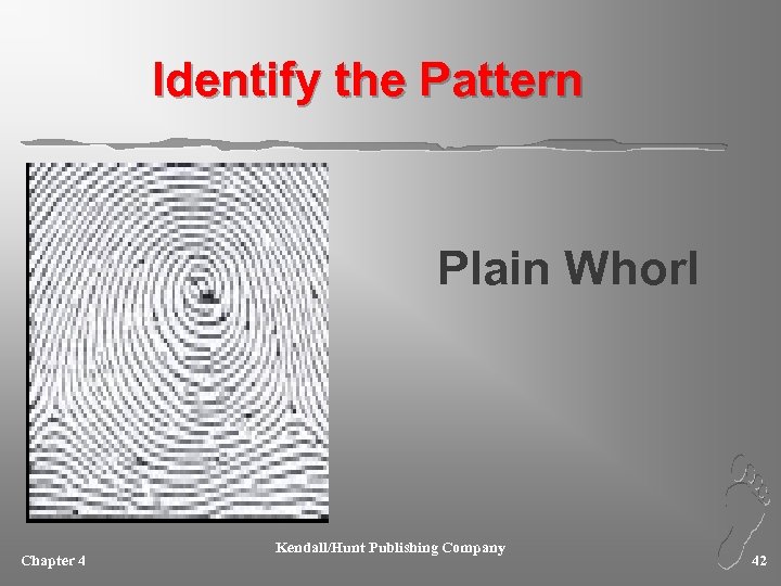 Identify the Pattern Plain Whorl Chapter 4 Kendall/Hunt Publishing Company 42 