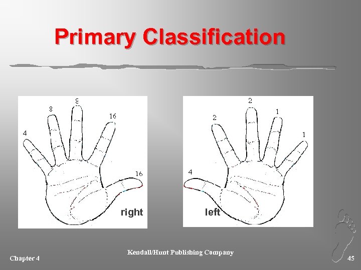 Primary Classification right Chapter 4 left Kendall/Hunt Publishing Company 45 