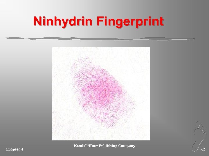 Ninhydrin Fingerprint Chapter 4 Kendall/Hunt Publishing Company 62 