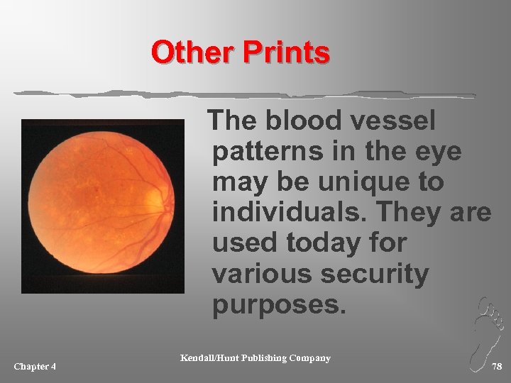 Other Prints The blood vessel patterns in the eye may be unique to individuals.