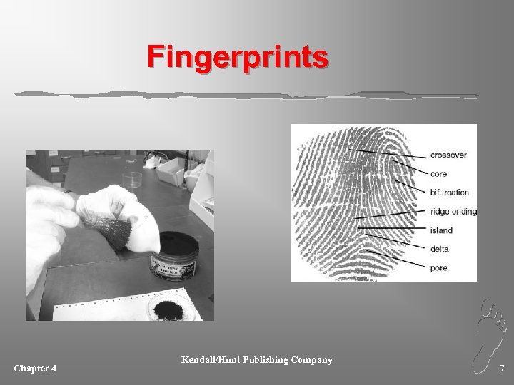 Fingerprints Chapter 4 Kendall/Hunt Publishing Company 7 