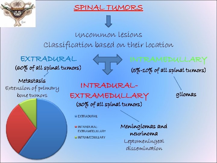 SPINAL TUMORS Uncommon lesions Classification based on their location EXTRADURAL (60% of all spinal