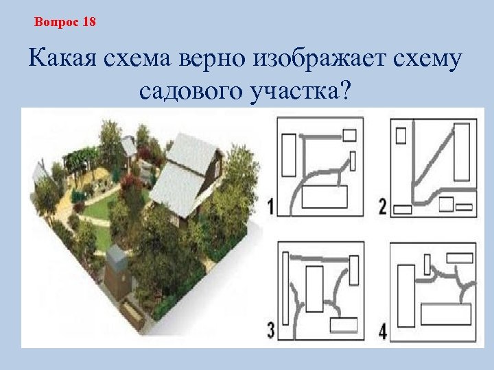 Вопрос 18 Какая схема верно изображает схему садового участка? 