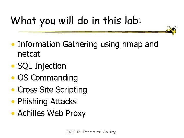 What you will do in this lab: • Information Gathering using nmap and netcat