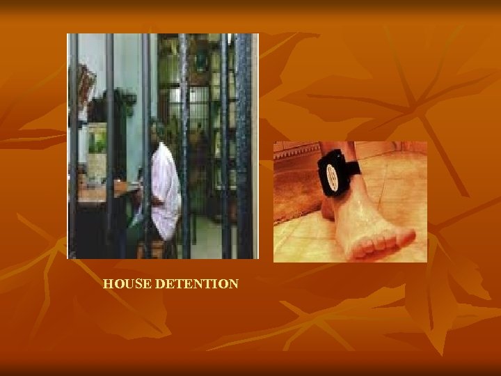HOUSE DETENTION 