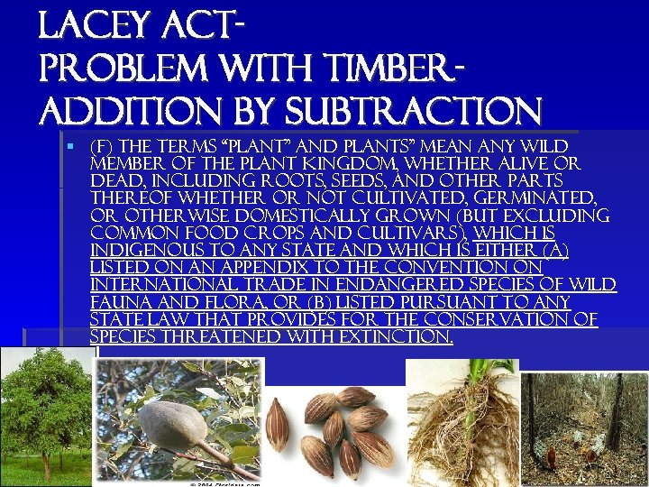 Lacey actproblem with timberaddition by subtraction § (f) The terms “plant” and plants” mean