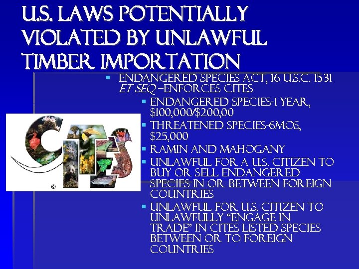 u. s. laws potentially violated by unlawful timber importation § Endangered species act, 16