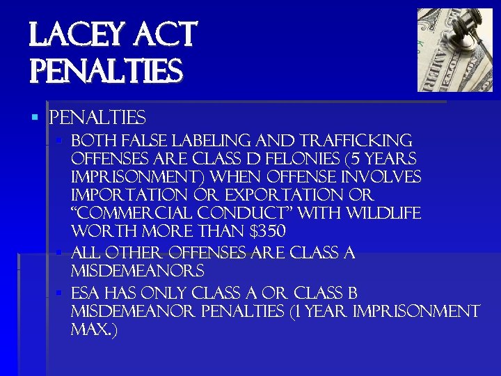 Lacey Act penalties § Penalties § Both false labeling and trafficking offenses are class