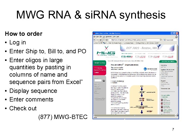 MWG RNA & si. RNA synthesis How to order • Log in • Enter