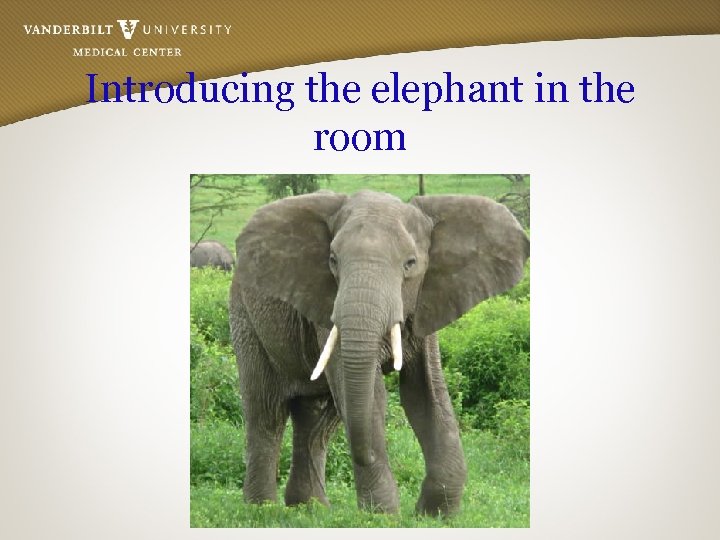 Introducing the elephant in the room 