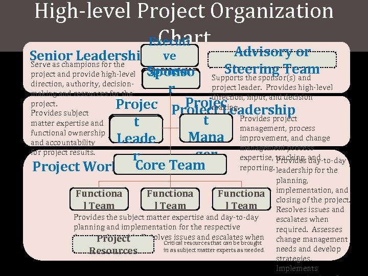High-level Project Organization Chart Executi Advisory or Senior Leadership ve Serve as champions for