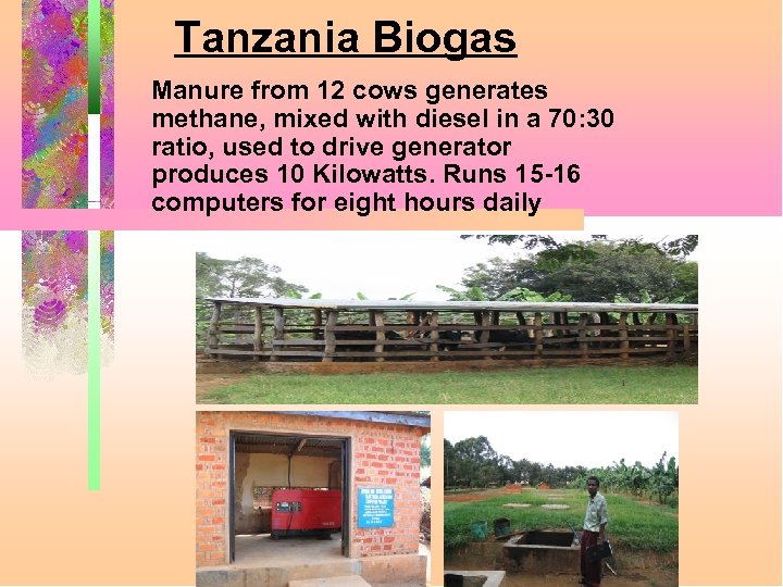 Tanzania Biogas Manure from 12 cows generates methane, mixed with diesel in a 70: