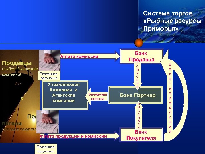 Система торг. Система торгов. Система торги. Аукцион Южная коммерческая система. Представляем новую систему.