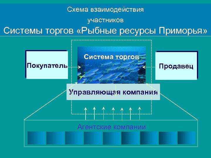 Схема взаимодействия участников Системы торгов «Рыбные ресурсы Приморья» Система торгов Покупатель Продавец Управляющая компания