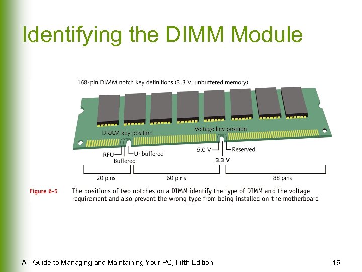 Identifying the DIMM Module A+ Guide to Managing and Maintaining Your PC, Fifth Edition