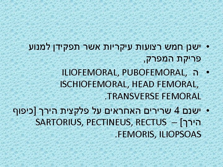  • ישנן חמש רצועות עיקריות אשר תפקידן למנוע , פריקת המפרק ILIOFEMORAL, PUBOFEMORAL,