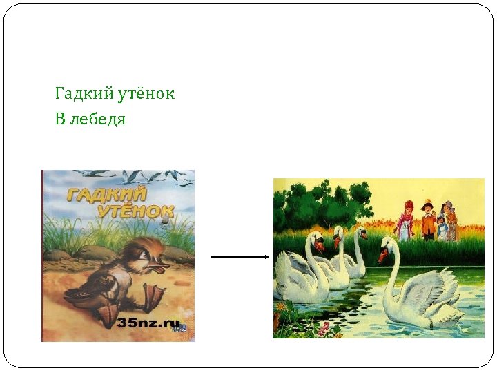 Гадкий утёнок В лебедя 