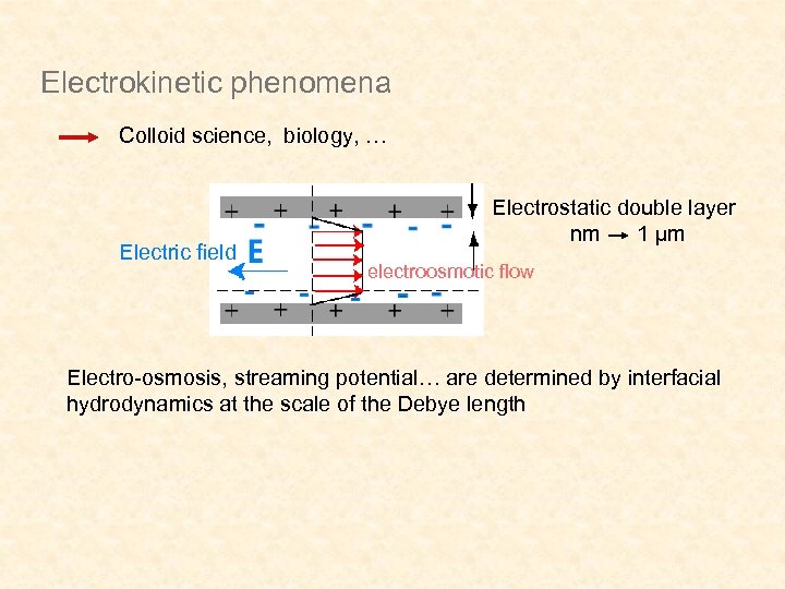 Electrokinetic phenomena Colloid science, biology, … Electric field Electrostatic double layer nm 1 µm
