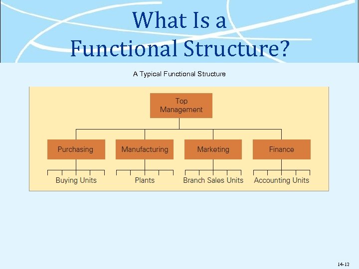 What Is a Functional Structure? A Typical Functional Structure 14 -12 