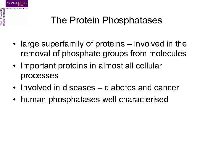 The Protein Phosphatases • large superfamily of proteins – involved in the removal of