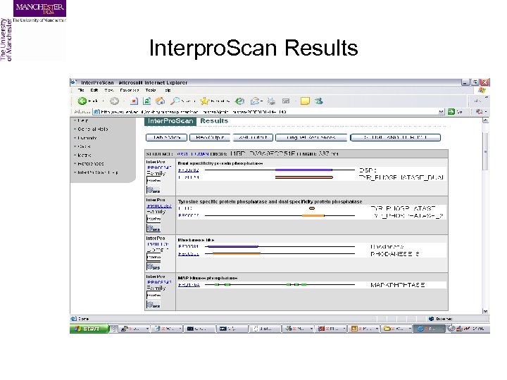 Interpro. Scan Results 