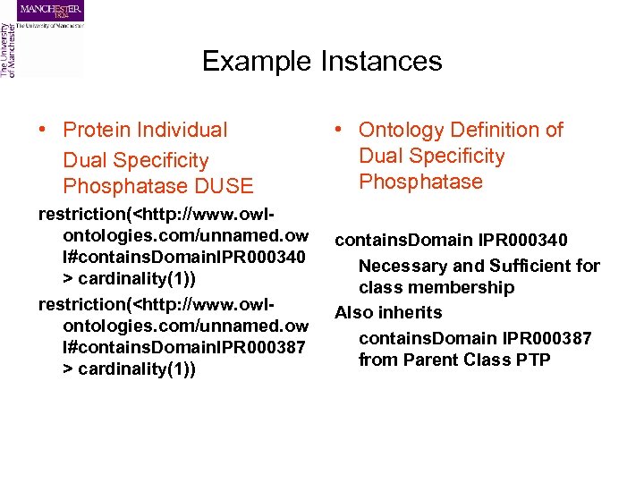 Example Instances • Protein Individual Dual Specificity Phosphatase DUSE • Ontology Definition of Dual
