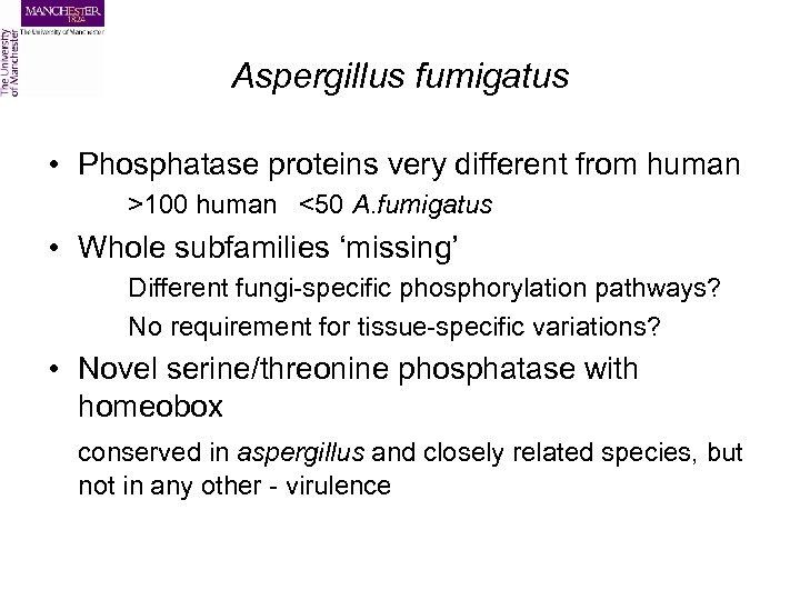 Aspergillus fumigatus • Phosphatase proteins very different from human >100 human <50 A. fumigatus