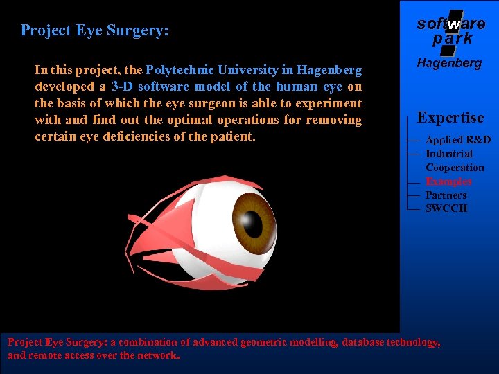 Project Eye Surgery: In this project, the Polytechnic University in Hagenberg developed a 3