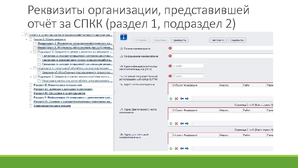 Реквизиты организации, представившей отчёт за СПКК (раздел 1, подраздел 2) 