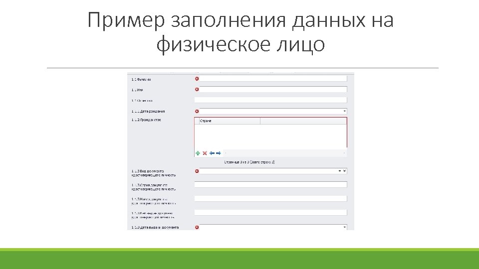 Пример заполнения данных на физическое лицо 