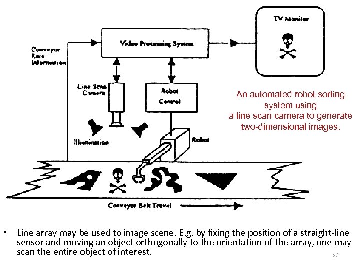An automated robot sorting system using a line scan camera to generate two-dimensional images.