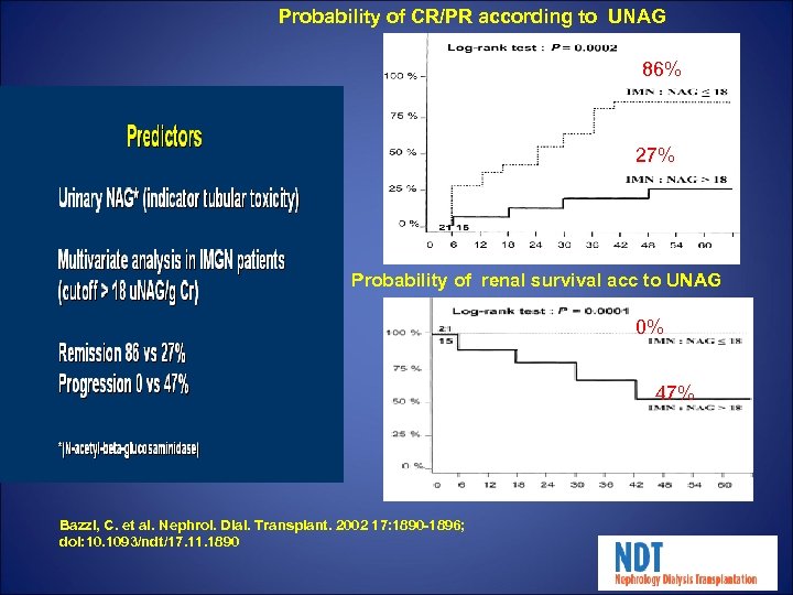 Probability of CR/PR according to UNAG 86% 27% Probability of renal survival acc to