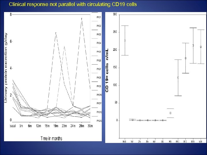 Clinical response not parallel with circulating CD 19 cells 