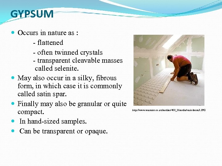 GYPSUM Occurs in nature as : - flattened - often twinned crystals - transparent