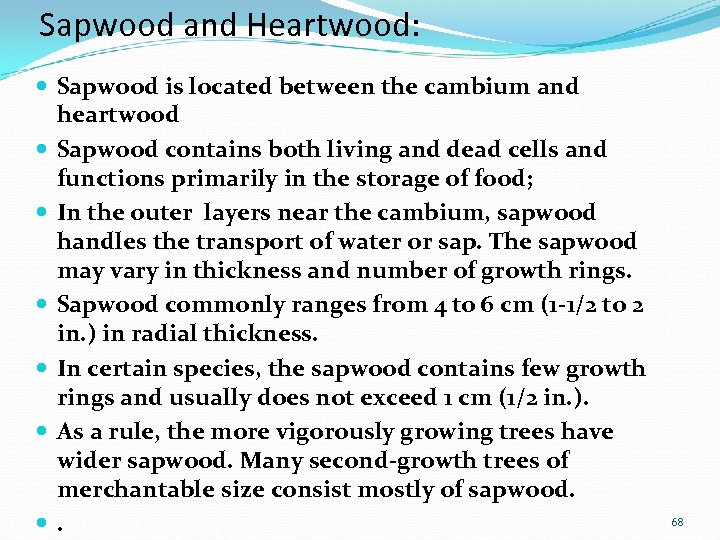 Sapwood and Heartwood: Sapwood is located between the cambium and heartwood Sapwood contains both