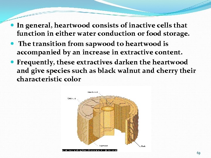  In general, heartwood consists of inactive cells that function in either water conduction