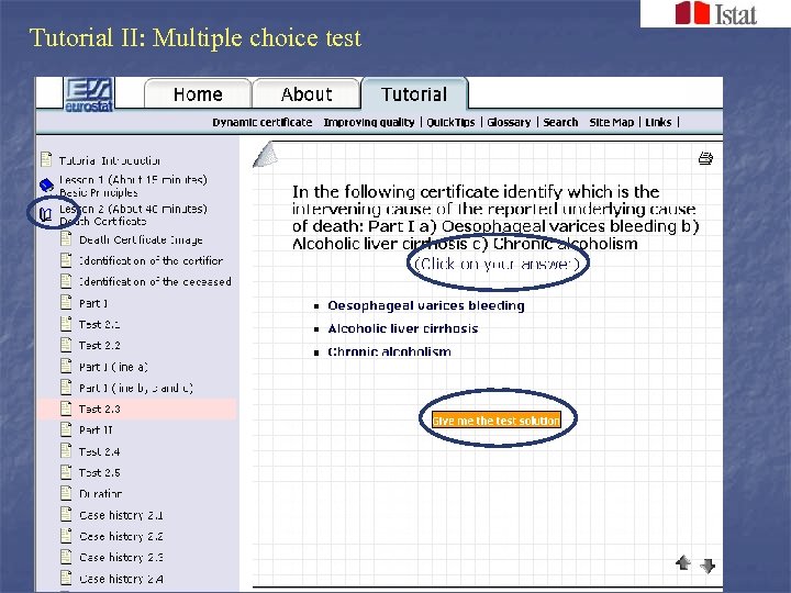 Tutorial II: Multiple choice test 